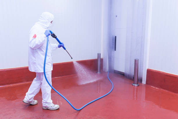 Best Rust Removal  in Jonesborough, TN